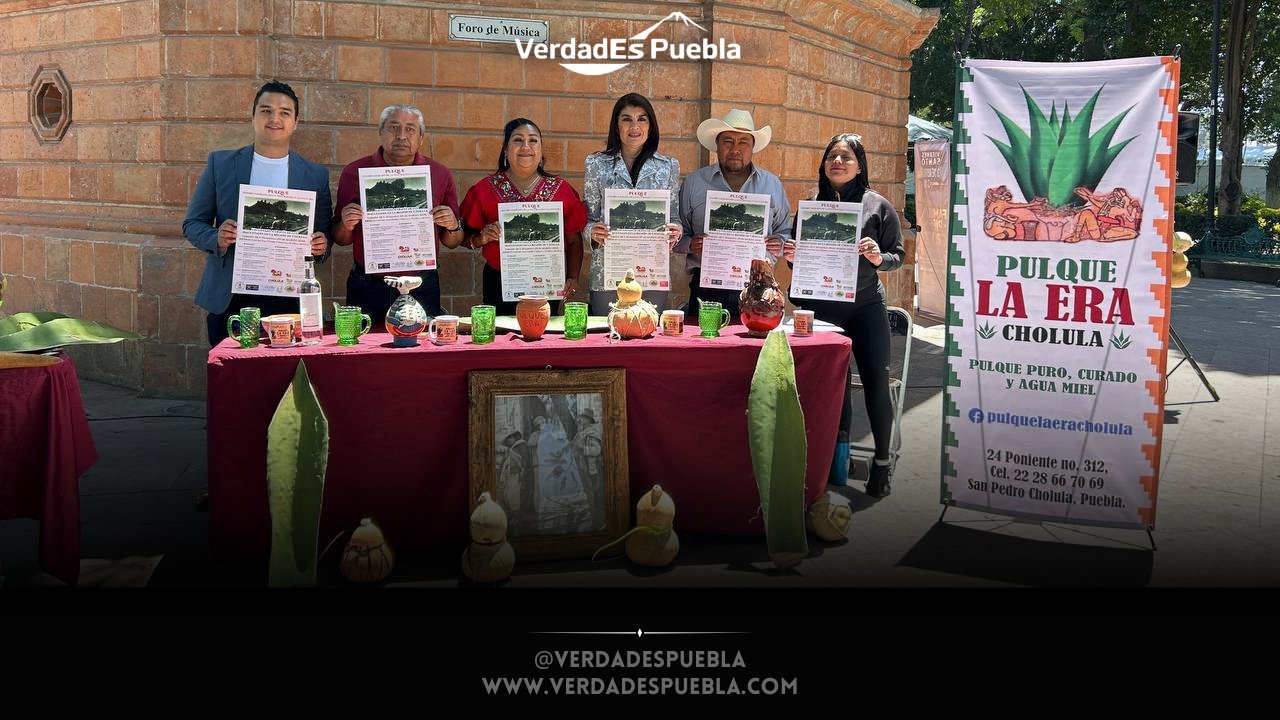 Evento del pulque en Cholula con degustaciones y magueyales