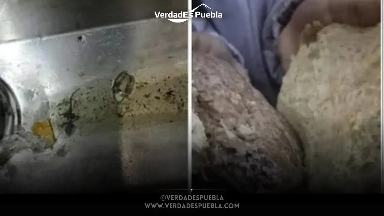 Profeco aclara que no puede sancionar por higiene en alimentos